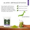 TeaFit Culinary Japanese Matcha Tea Powder, 32gm (20 Sachets) | Sourced from Uji, Japan | 100% Pure & Authentic Culinary Grade Green Tea | Rich in Anti-Oxidants | Everyday Matcha view 4