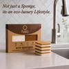 Halo Eco Sponges (Pack of 4)  Dual-Sided Biodegradable Kitchen Sponge with Natural Coconut Fiber & Cellulose | Scratch-Free, Durable & Eco-Friendly Scrubber for Washing, Kitchen & Home Cleaning view 2