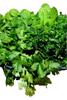 Himalayan Pahadi Mint and Green Coriander Flavoured Salt, (   ) Traditional Indian Seasoning. 130 Grams, Sprinkler bottel,Traditional Mountain Spice Blend with Rock Salt, Aromatic Taste, Perfect for Daily Meals, Fruits & Salad view 4
