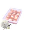 Food Energy Fresh Cream Roll for Foodie Indians-Traditonal Tea Time Snacks (15 Pcs) (Vanilla) view 1
