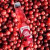 Cranberry Fizzy Goti Soda  Pack of 5  200ml | Desi Goli Soda Drink | Banta Soda | Tangy Indian Cranberry Soft Drink | Sulfur-Free Sugar, Zero Caffeine, Zero Artificial Sweeteners | RO Purified Water view 4