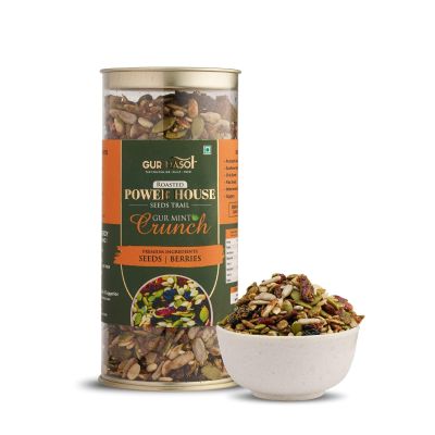 GUR RASOI Roasted Trail Mix Gur Mint Flavour Seeds & Berries Snack with Protein-Rich Seeds & Tangy Berries 225g Healthy Crunch Snacks for All Ages