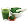 Activeland Moringa Powder  50g Pack, Organic, Nutrient-Rich Superfood for Energy, Detox, Immunity & Overall Wellness (Pack Of 3) view 3