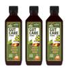Jeena Sikho Gut Care Juice | Ayurvedic Gut Cleanser & Digestive Tonic | Herbal Juice for Gut Health, Detoxification & Digestion, 500 ml, Pack of 3 view 1
