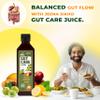 Jeena Sikho Gut Care Juice | Ayurvedic Gut Cleanser & Digestive Tonic | Herbal Juice for Gut Health, Detoxification & Digestion, 500 ml, Pack of 3 view 4