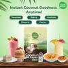 StapleGreenz Instant Coconut Milk Powder - 300g  Premium Plant-Based Milk Powder | Rich & Creamy | Ideal for Curries, Smoothies, Mocktails, Desserts | Gluten-Free view 4