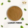 GAURVEDA Lajwanti Powder | Touch-Me-Not | Mimosa Pudica | Traditional Ayurvedic Herb for Wellness & Vitality | Natural Supplement for Overall Health | 500 Grams view 2