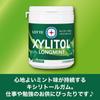 Lotte Xylitol Gum, Long Mint (Original Mint), Family Bottle, 4.8 oz (133 g) | Made in Japan view 2
