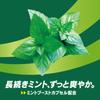 Lotte Xylitol Gum, Long Mint (Original Mint), Family Bottle, 4.8 oz (133 g) | Made in Japan view 3