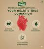 100% Natural Arjun Chaal Powder | Pure Herbal Ayurvedic Supplement for Eating, Heart Health, control Blood Pressure, Purifies Blood, Antioxidant, Increases Strength & Immunity  200g Pack view 4