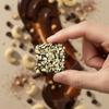 Nam Nam Mocha Cashew Brittle, Premium Chocolate Coated Nuts, Tin Edition, 60% Roasted Cashews with Coffee, 125 Grams view 4