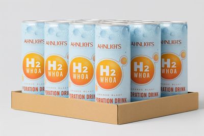 Ahnlichs H2WHOA Orange Blast Hydration Drink with Electrolytes & B Vitamins | Rehydrate Fast, No Added Sugar | Pack of 12