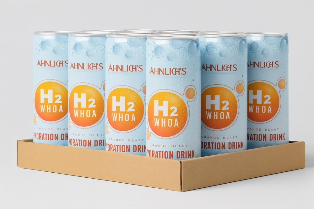 Ahnlichs H2WHOA  Orange Blast Hydration Drink with Electrolytes & B Vitamins | Rehydrate Fast, No Added Sugar | Pack of 12