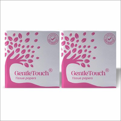 GentleTouch Premium Soft Facial Tissues | 100 Pulls x 2 Packs | 2-Ply, Skin-Safe & High Absorbency | Multipurpose Tissue Paper for Home, Car & Office | Ultra-Soft, Hygienic & Tear-Resistant
