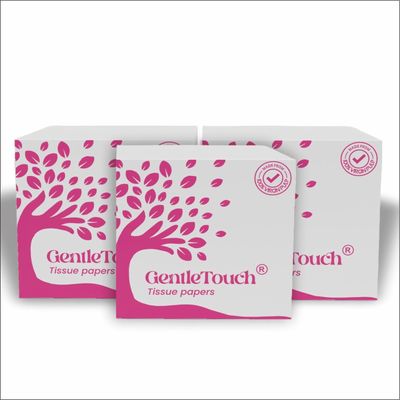 GentleTouch Premium Soft Facial Tissues | 100 Pulls x 3 Packs | 2-Ply, Skin-Safe & High Absorbency | Multipurpose Tissue Paper for Home, Car & Office | Ultra-Soft, Hygienic & Tear-Resistant
