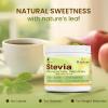 Biotane Premium Stevia | 100 Percent Natural Herbal Sweetener | Zero Calorie I Sugar Free | Made with Purest Stevia I No Bitter Taste I No Maltodextrin 200g (Pack of 4) view 3
