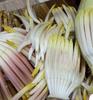 Aadi16's Dehydrated Banana flower Blossom or Mocha boost to the immune system, Well Dressed Sun Dried Flowers ready to Cook, Pack 120gm. (Obtained from Six Full Size flower) view 3