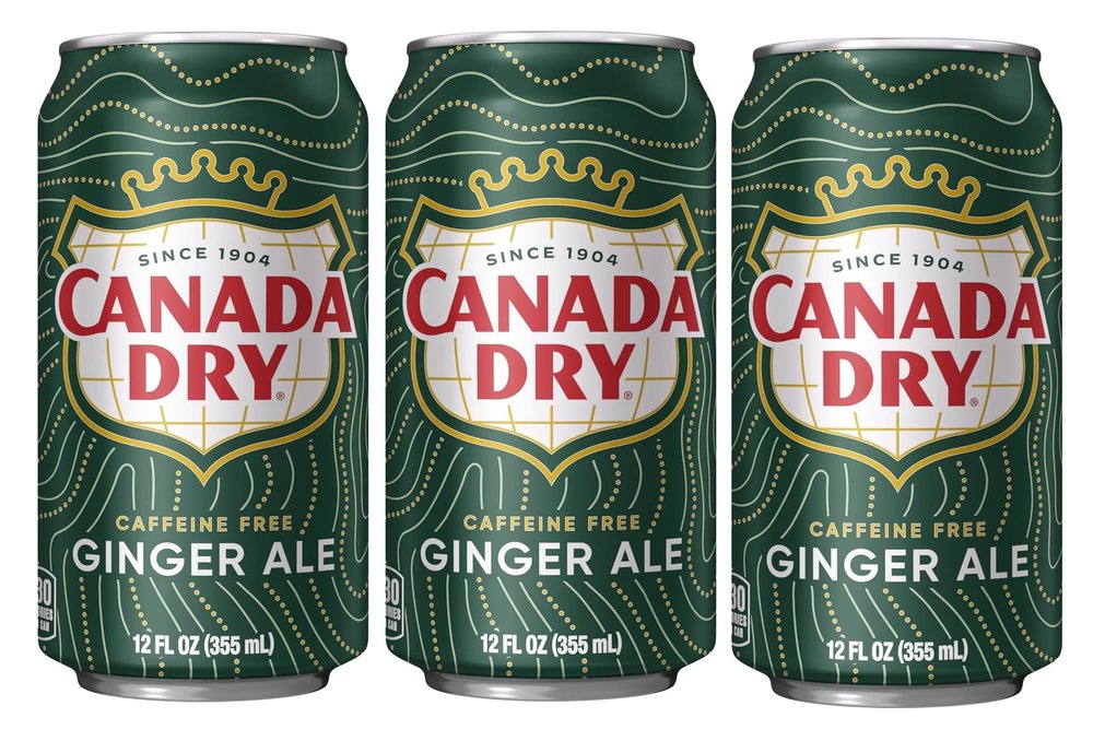 Canada Dry Ginger Ale Soft Drink Classic Sparkling Soda with Refreshing Ginger Taste 355ml Each (Pack of 3) (Imported)