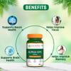Pure Nutrition Alpha GPC (300mg) 120 Veg Capsules (60 X 2) | Helps to Improve Focus, Mental Clarity & Memory | Brain Health Supplement for Men & Women | Nootropic Formula view 3