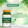 Pure Nutrition Alpha GPC (300mg) 120 Veg Capsules (60 X 2) | Helps to Improve Focus, Mental Clarity & Memory | Brain Health Supplement for Men & Women | Nootropic Formula view 4