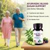 Neem Karela Jamun Tablets Ayurvedic Blood Glucose Controller Support for Daily Wellness | 30 Tablets view 2