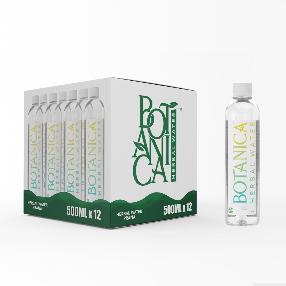 Botanica Herbal Water Pack of 12 | 500ml PET Bottles | Natural Vetiver, Cinnamon, Cardamom, Cloves & Lemon Infused Beverage | Vegan Hydration Drink for Digestion, Detox and Skin Health