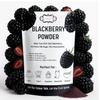Confect Blackberry Powder | Pure & Natural Fruit Powder for Smoothies, Baking, Beverages, Juices, Tea & DIY Recipes | Vegan, Gluten-Free, No Added Sugar -50g (50g) view 1