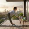 79 Degree Wellness Tea I Premium Blend in Tinbox (75 Gm, Moringa Green Tea) view 3