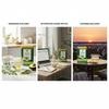 79 Degree Wellness Tea I Premium Blend in Tinbox (75 Gm, Moringa Green Tea) view 4