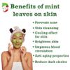 Natural Pure Mint Leaf (Pudina) Powder, 227g, No Preservatives, for Digestion, Fresh Breath, Hair, Skin Care view 4
