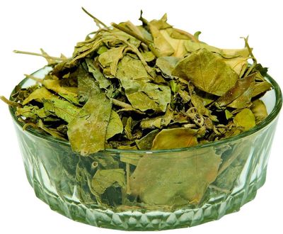 Bionest Herbals Madhunashini Powder - 100 gm