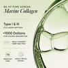 Wellbeing Nutrition Matcha Collagen for Skin Radiance| Korean Marine Collagen Peptides & Japanese Organic Matcha Green tea for Immunity, Gut Health, Hair, Skin & Nails| Pack of 15 view 4