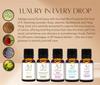 Aadi Mool Jasmine, Sandalwood, Rose, Ylang Ylang & Lavender Essential Oils for Diffuser, Aromatherapy & DIY Blends Pack Of 5-15ML view 2