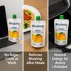 Blissbody  Indias First Sugar-Free Millet Drink | Gut-Friendly & Diabetic Safe | Pineapple, Mango, Orange | 200ml x 24 Pack view 4