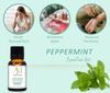 Aadi Mool Peppermint & Rosemary Essential Oil for Hair, Skin & Diffuser Pack Of 2-15ML view 4