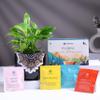 FlowerAura Air Purify Live Peace Lily Plant In Terracotta Pot With Floral Tea For Home & Office Decor, Christmas Gift, New Year Gift, Wedding Gift, Anniversary Gift & Birthday Gift (Same Day Delivery) view 1