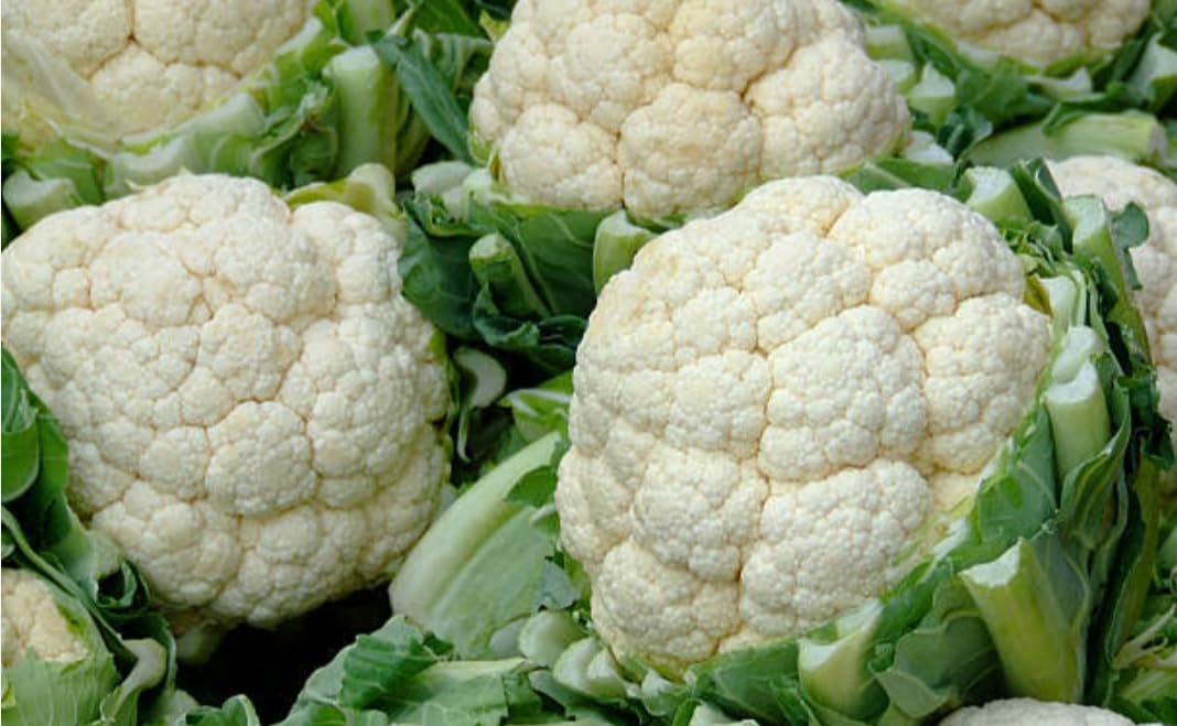 Aadi16's Premium Dried Cauliflower Florets Vegetable, Low Calorie, High Fiber, well dressed Ready to Cook or Fry, Pack of 180gm (Prepare from 10 nos cauli flowers)
