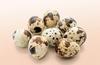 Fresh Quail Eggs | Pack of 36 eggs | Baer ke ae |    |   |   | High Protein & Nutrition-Rich | 100% Farm Fresh. view 4