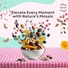 Khari Foods Daily 8-in-1 Trail Mix 200g | Premium Nuts, Dried Fruits & Seeds | Almonds, Cashews, Apricots, Dates, Raisins, Pumpkin Seeds, Dried Mango & Cranberries | High Protein & Fibre Snack view 4
