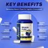 Aayush Wellness Brain Fuel Capsules with Brahmi Ashwagandha Ginkgo Curcumin Ayurvedic and Natural Memory Booster & Focus Support  60 Capsules view 4