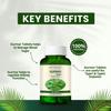 BIO RESURGE Gurmar Tablets 750mg  240 Tablets | Gymnema Sylvestre 100% Ayurvedic & AYUSH Certified | Supports Blood Sugar, Reduces Sugar Cravings, Boosts Good Cholesterol & Heart Health | Pure Natural Leaves(Pack Of 4) view 3