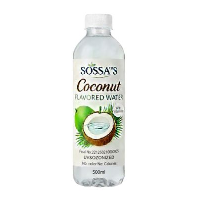 CANEVIT Natural Coconut Flavored Water with Vitamins | Refreshing Organic Beverage | Infused with Coconut Apple & Nutrients for Hydration | No Added Sugar | 500 ml | Pack Of 2