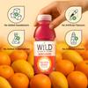 Wild Vitamin Drink (400 ml (Pack of 12), Valencia Orange) view 4