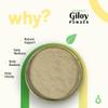Pure Organio Organic Giloy Powder - NPOP Certified Natural Wellness Supplement Tinospora Cordifolia, Gulvel Stem for Immune Support and Detoxification (100 Gm) view 3