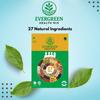 Evergreen Natural Healthmix 500g | 27 Natural Ingredients | Dry Roasted Cereal, Nuts and Multigrain | Breakfast Cereal with Protein and other Important Nutrients view 3