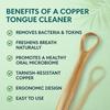 Equix Advanced Copper Tongue Cleaner for Adults | Ayurvedic Slim Tongue Scraper for Fresh Breath & Better Oral Hygiene | Premium One-Piece Pure Copper Mouth Cleaning Tool for Daily Wellness view 4