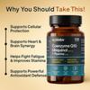 Agelabs Coenzyme Q10 Ubiquinol 200mg with Piperine, Enhanced Absorption Formula for Heart Health and Cellular Energy, 60 Vegetarian Capsules view 2