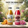 Refreshing Roots Malta Squash and Buransh Squash Combo Pack, Natural Himalayan Beverages, 300ml Glass Bottles, Pure and Dynamic Refreshment view 3