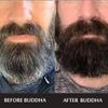Buddha Natural Grey Beard Serum Oil - (25ml) - Restores Beard Color Naturally - 100% Natural Herbal Formula | Turns White Beard to Black view 4