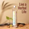 Botanica Herbal Water Pack of 12 | 1000ml PET Bottles | Natural Vetiver, Cardamom, Cinnamon, Cloves & Lemon Infused Beverage | Vegan Hydration Drink for Digestion, Detox and Skin Health view 4